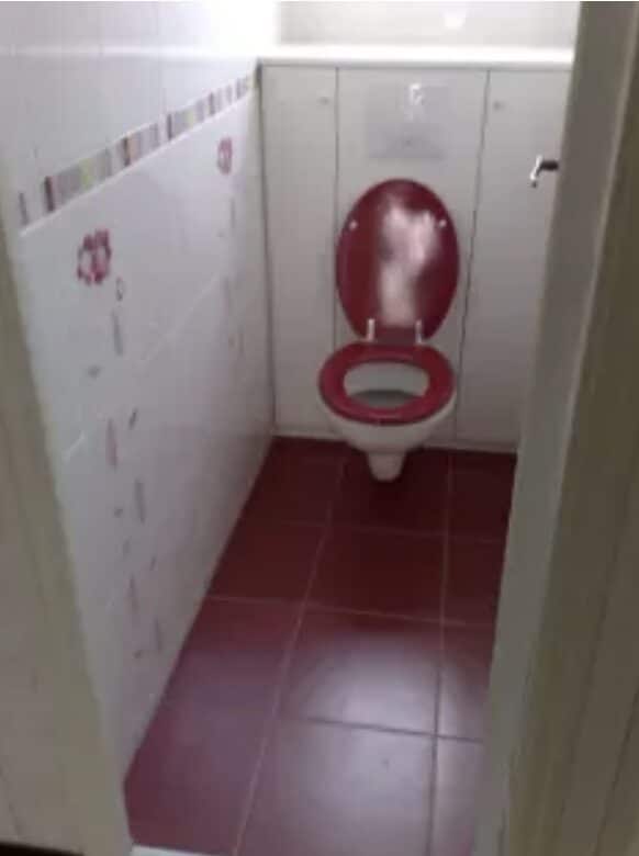 Pose WC suspendues avec meuble de rangement à Rezé Installation WC suspendue avec meuble de rangement à Rezé